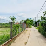 Bán đất 1000m2 tại Bình An 2, Tuy Phước Tây, Bình Dương - Ảnh thu nhỏ 5