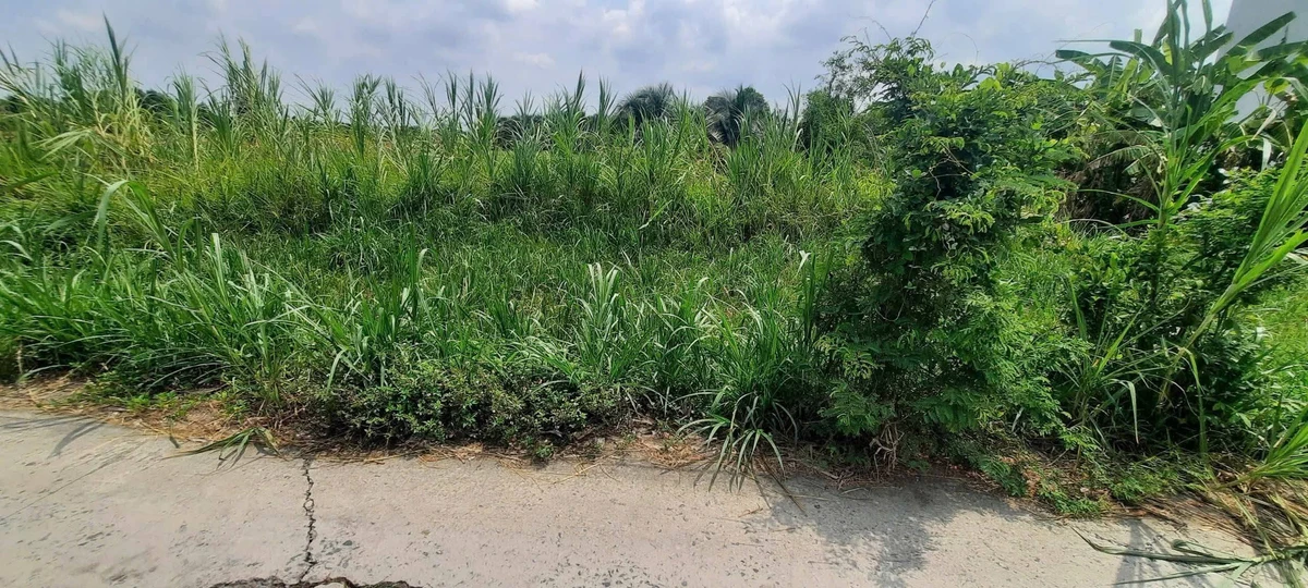 Bán đất thổ hẻm 115m² Phường 4 Tân An Long An 990 triệu - Ảnh thu nhỏ 4