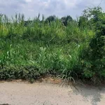 Bán đất thổ hẻm 115m² Phường 4 Tân An Long An 990 triệu - Ảnh thu nhỏ 4