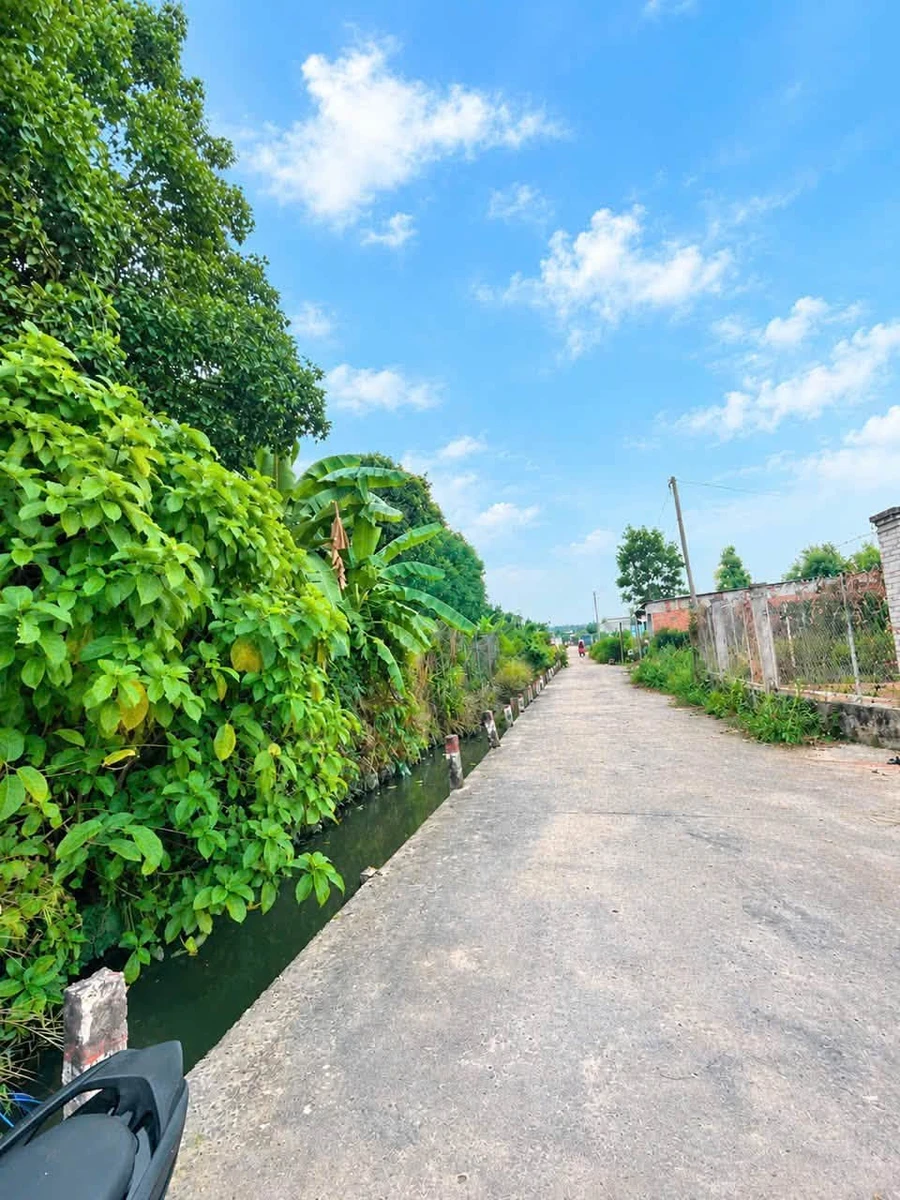 Bán đất dài 5x30m Tương Bình Hiệp, Bình Chánh - 1,95 tỷ - Ảnh thu nhỏ 3