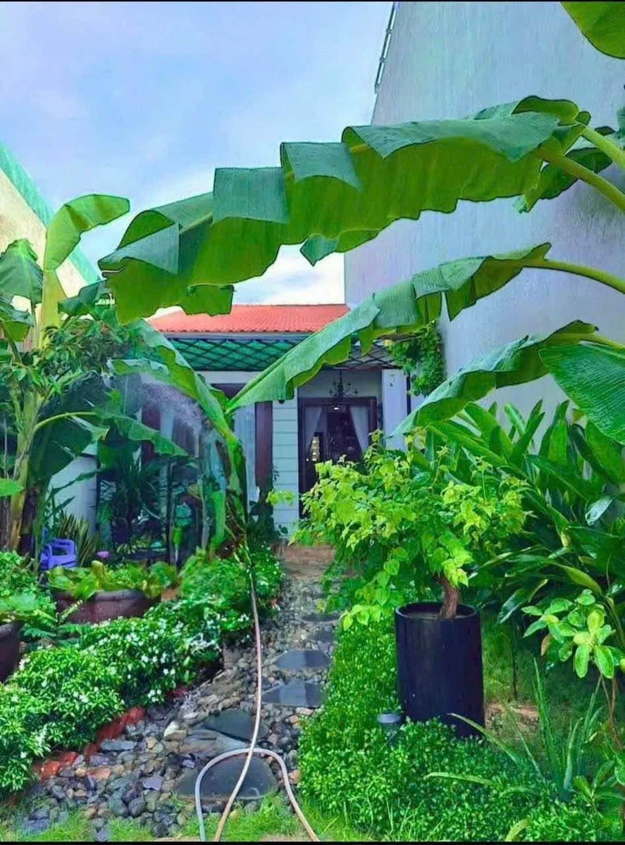 Nhà vườn trệt 99m2 mặt tiền, Phan Thiết, Lâm Đồng - Ảnh 1