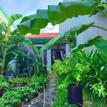 Nhà vườn trệt 99m2 mặt tiền, Phan Thiết, Lâm Đồng - Ảnh thu nhỏ 1