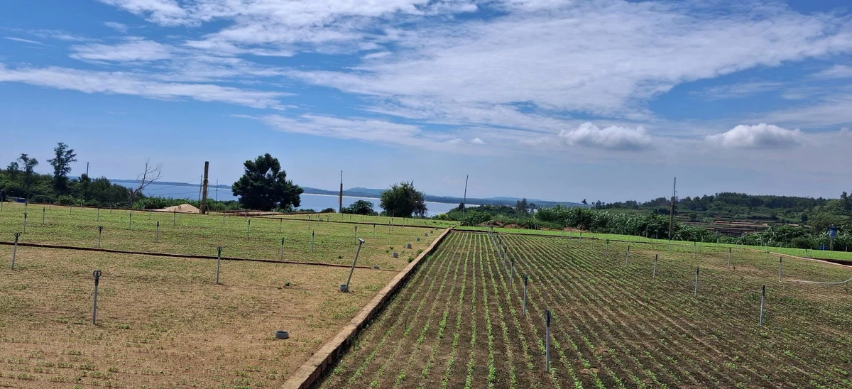 Bán đất 240m2 view biển Thanh Thủy Quảng Ngãi 100 triệu - Ảnh thu nhỏ 2