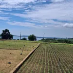 Bán đất 240m2 view biển Thanh Thủy Quảng Ngãi 100 triệu - Ảnh thu nhỏ 2