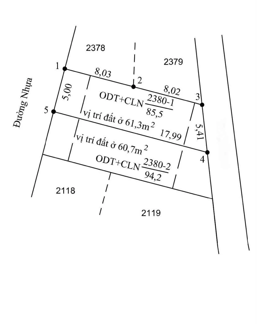 Bán lô đất Long Phước 100m² mặt tiền đường nhựa 1.38 tỷ - Ảnh 1