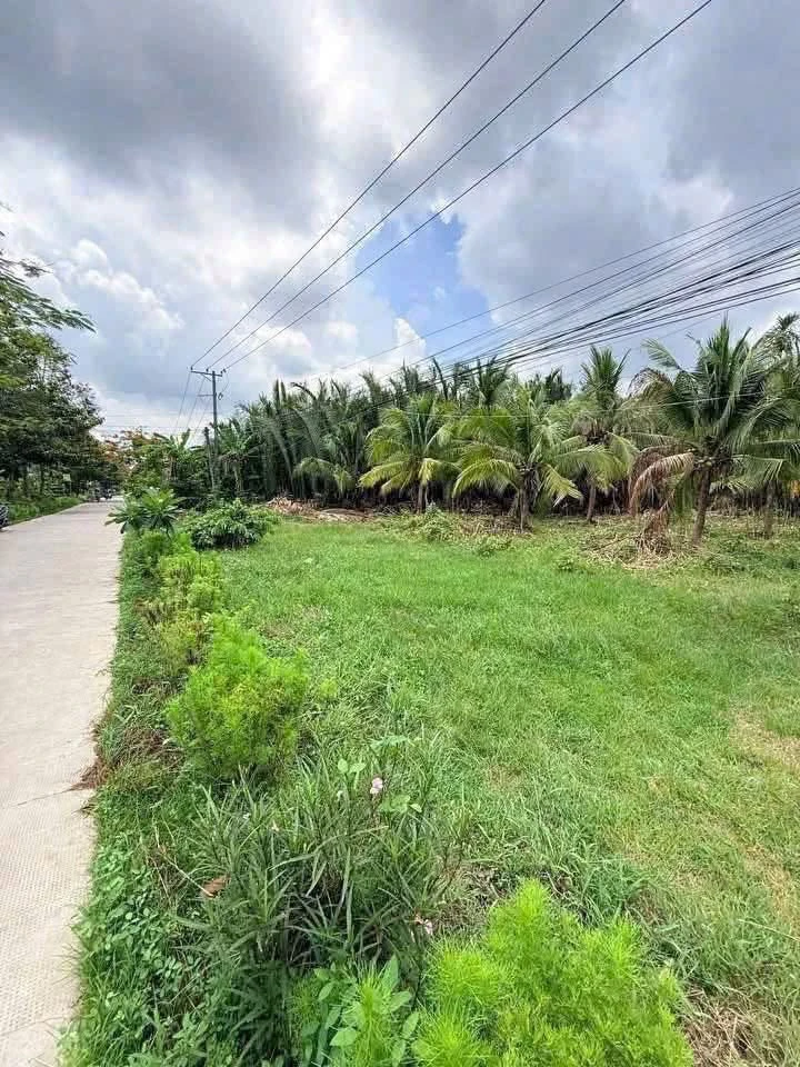 Bán đất mặt tiền Mỹ Thạnh 1.336m² tại Giồng Trôm, Bến Tre - Ảnh thu nhỏ 5