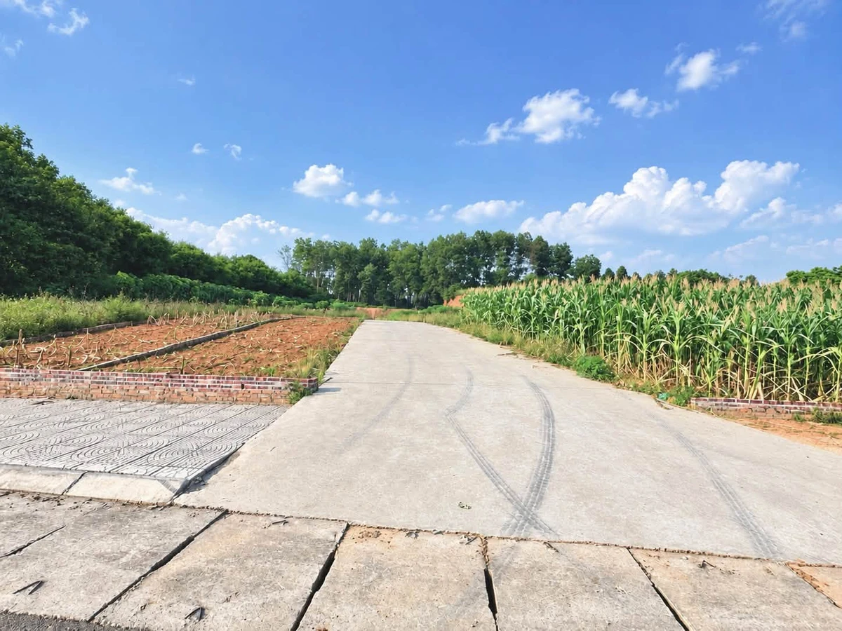 Bán nhà 106m², mặt tiền 6.5m Lâm Thao Bình Chánh 5.5 tỷ - Ảnh thu nhỏ 3