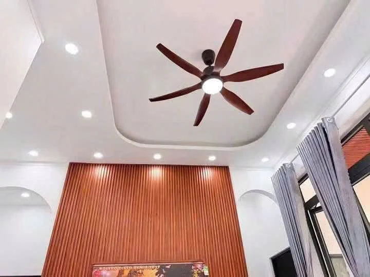 Bán nhà mới 2PN 87m2 tặng full nội thất, thổ cư, Phường 6, Bến Tre, giá 1,19 tỷ - Ảnh thu nhỏ 5