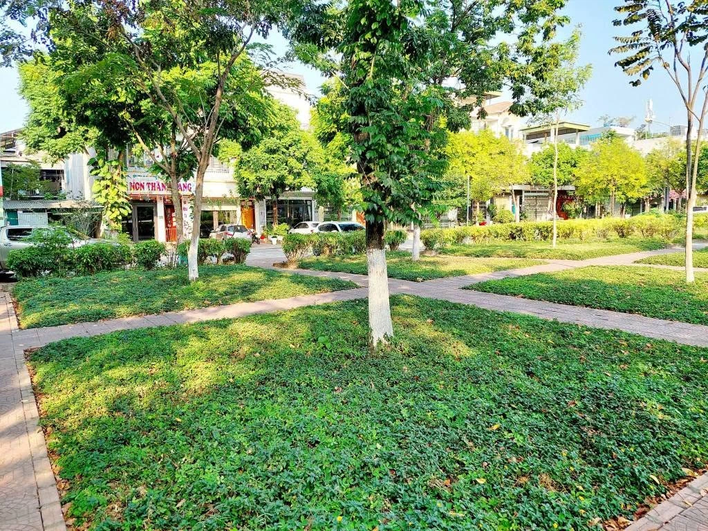 Bán nhà 2 tầng 108,75m² Đặng Thái Mai Bình Chánh - Ảnh 1