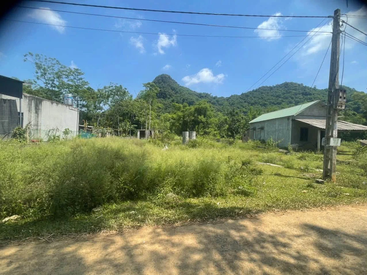 Bán đất 1600m2 có 400m2 thổ cư mặt tiền đường bê tông tại xã Lạc Thịnh, Yên Thủy, Hòa Bình - Ảnh thu nhỏ 2