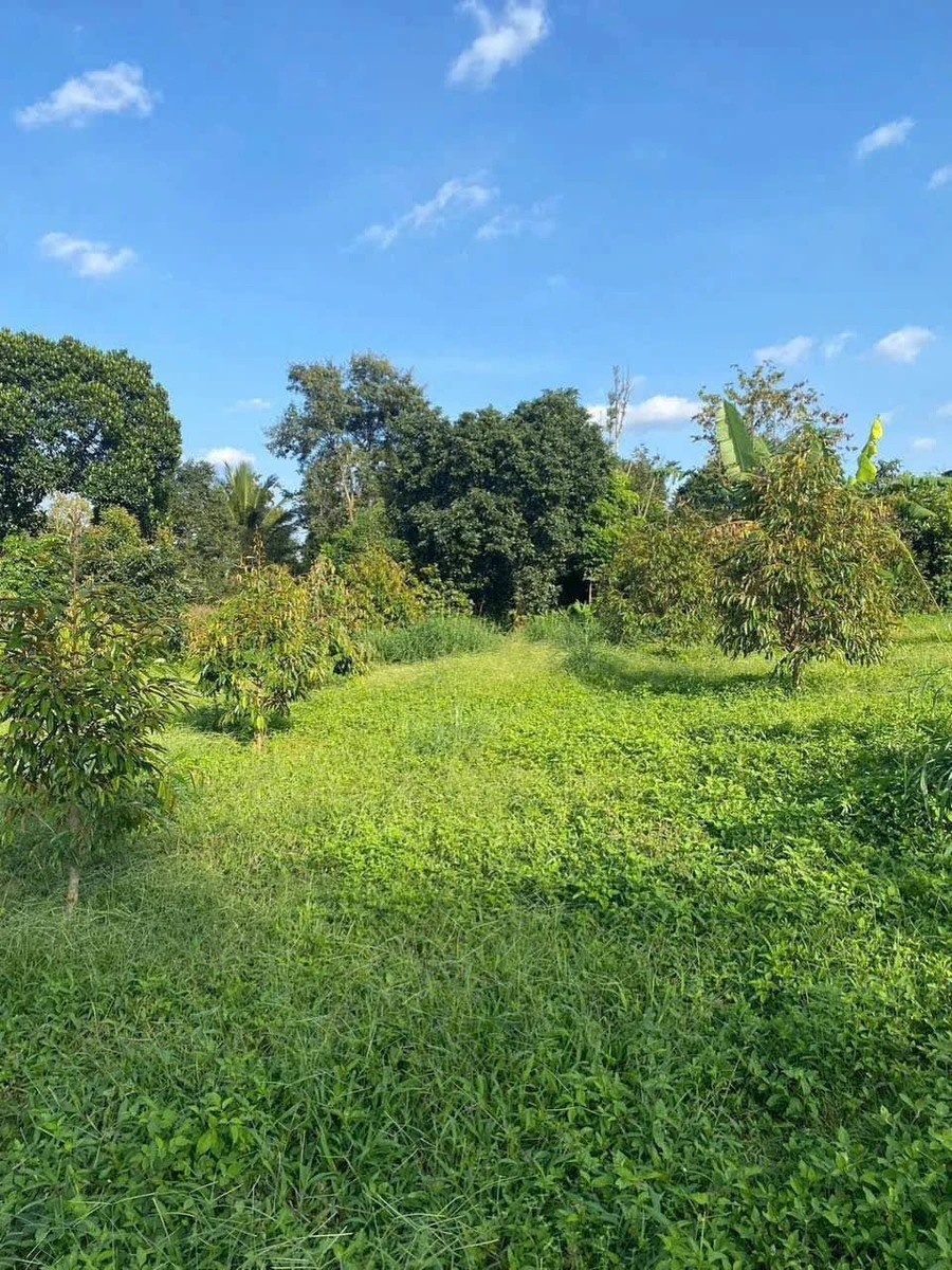 Bán đất view hồ Ea Cuor Kap 400m² giá 5 tỷ - Ảnh thu nhỏ 2