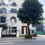 Bán căn nhà biệt thự đơn lập view bể bơi hiếm có tại dự án Mạnh Đức Victory Từ Sơn. LH 0326 569 *** - Ảnh thu nhỏ 12