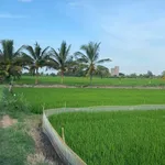 Bán đất ruộng hơn 6 công tại Trà Vinh - Ảnh thu nhỏ 1
