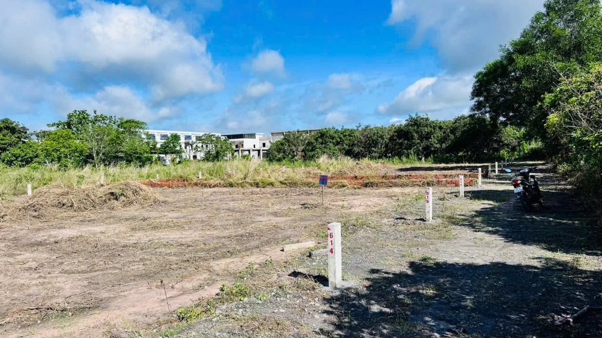 Bán đất thổ cư 125m² gần KCN Phước Đông, Tây Ninh 630 triệu - Ảnh thu nhỏ 4