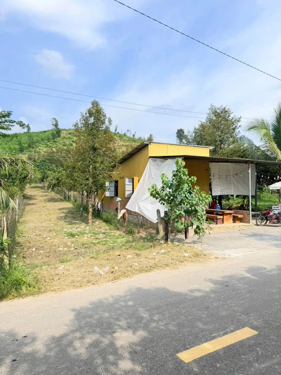Bán đất mặt tiền Liên Xã Khánh Hòa 310m2 220 triệu - Ảnh thu nhỏ 3