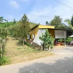 Bán đất mặt tiền Liên Xã Khánh Hòa 310m2 220 triệu - Ảnh thu nhỏ 3