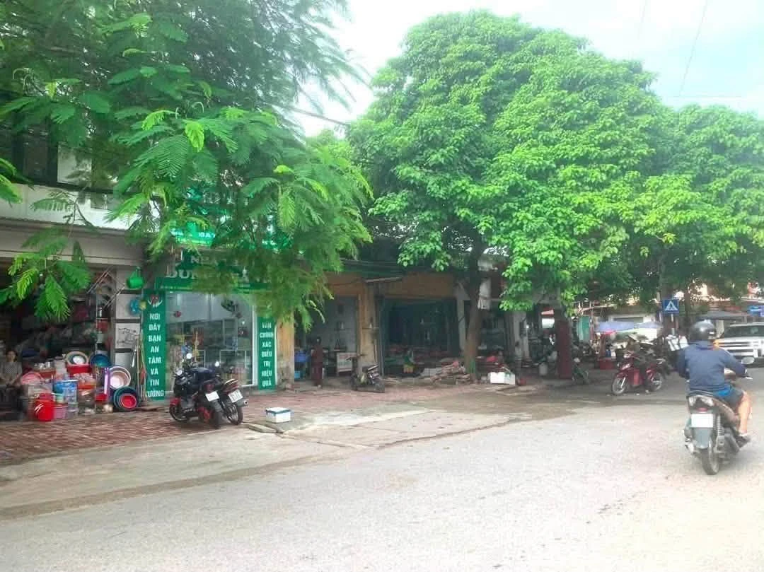 Bán đất 72m² tặng nhà cấp 4 Chu Văn An, Hải Phòng - Ảnh thu nhỏ 2