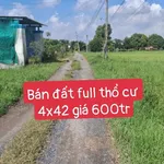 Bán đất thổ cư SHR Mỹ Hạnh Bình Chánh 168m2 600 triệu - Ảnh thu nhỏ 1