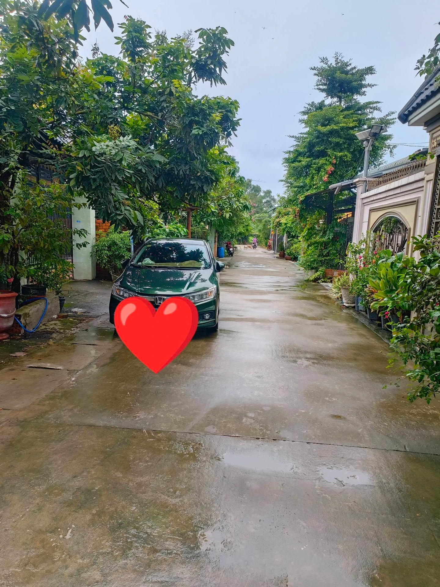 Bán lô đất 2 mặt tiền 232,7m2 hẻm ô tô đường Nguyễn Tri Phương, Chánh Nghĩa, Thủ Dầu Một - Ảnh 1