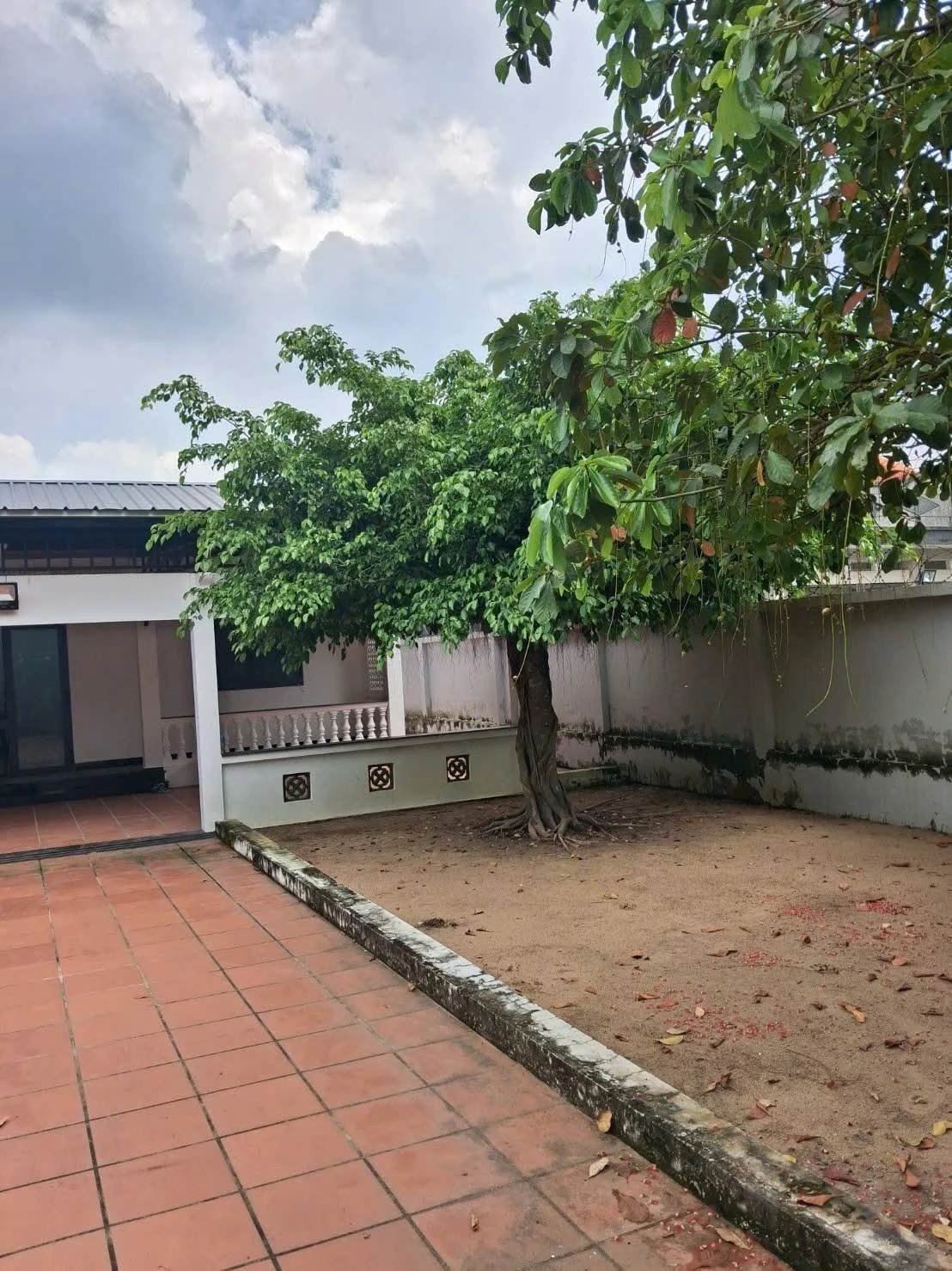 Bán nhà vườn view kênh 1.700m2 thổ cư tại Hiệp Thạnh, Châu Thành, Long An - Ảnh 1