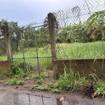 Bán đất 710m2 tại đường ĐA.03 kết nối đường 19/5, xã Nhơn Thạnh, Bến Tre, giá tốt 1,5 tỷ - Ảnh thu nhỏ 3