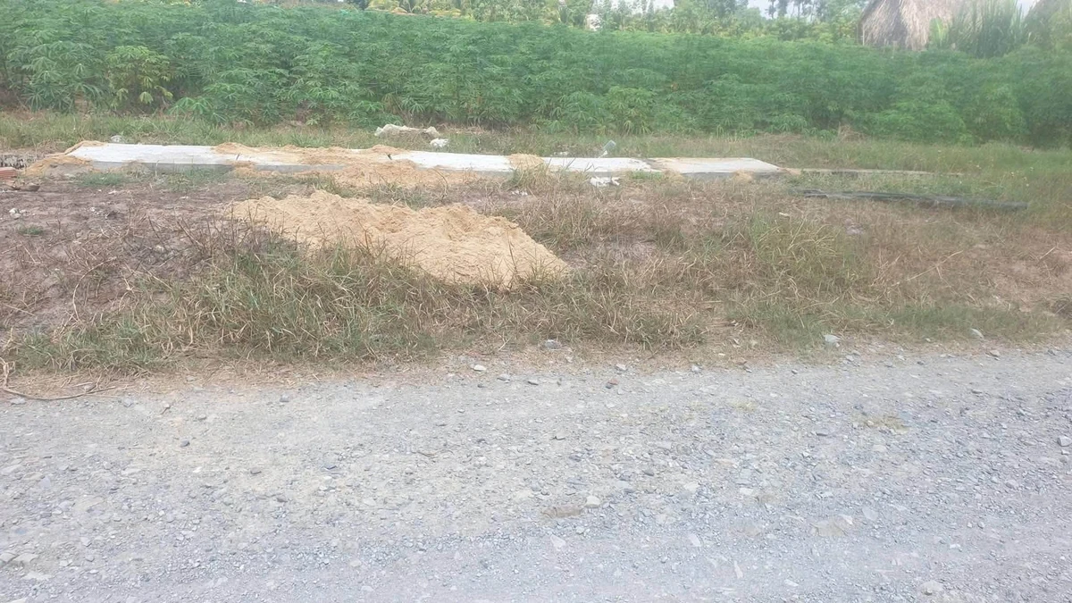 Bán đất 4500m² gần KCN Phước Đông, Bình Chánh - Ảnh thu nhỏ 2