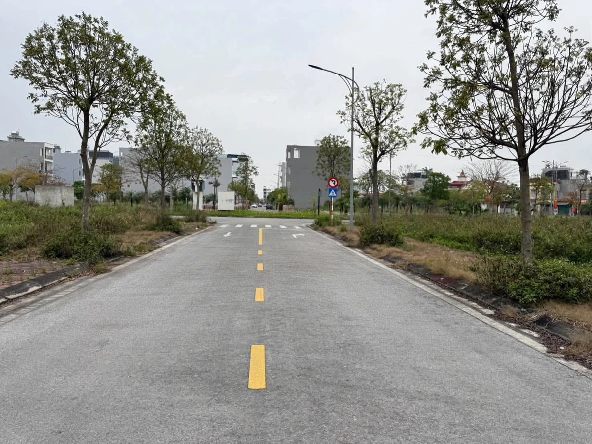 Bán lô đất 67,5m² đường Triệu Quốc Đạt Tân Phú Hưng - Ảnh thu nhỏ 2