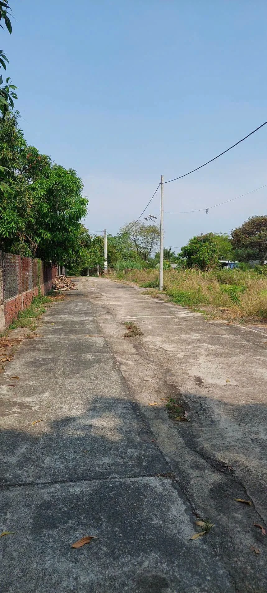 Bán đất Châu Pha Phú Mỹ 1.247m², giá 3,4 tỷ - Ảnh 1
