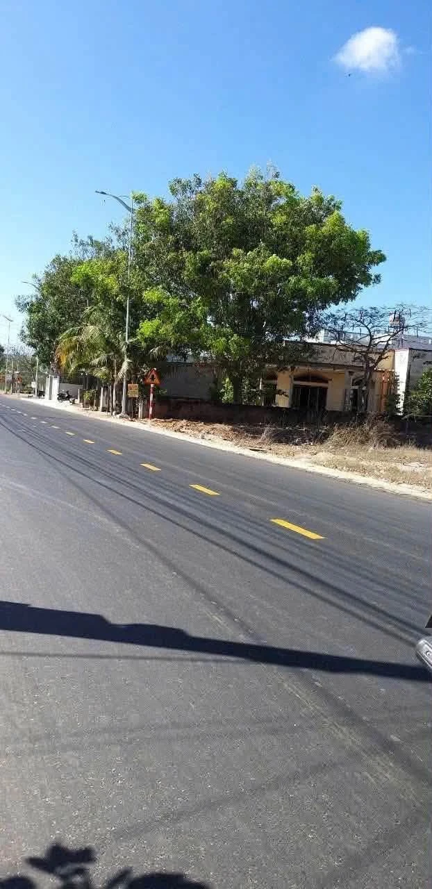 Bán đất mặt tiền Nguyễn Du 187m2 Tân Phước, Bình Thuận - Ảnh 1