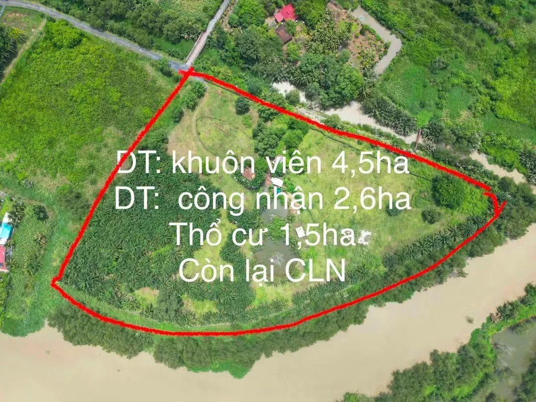 Bán đất phường Long Phước Quận 9 - 2,7ha mặt tiền sông - Ảnh thu nhỏ 3