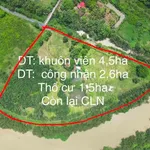 Bán đất phường Long Phước Quận 9 - 2,7ha mặt tiền sông - Ảnh thu nhỏ 3