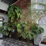 Bán nhà 2 mê 190m2 2PN2WC Hòa Xuân Đà Nẵng - Ảnh thu nhỏ 1
