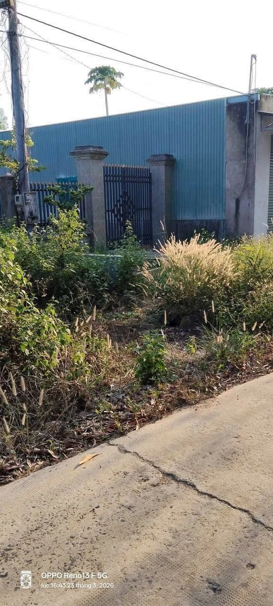 Bán đất Tân Quan Hóc Môn 100m² giá 600 triệu - Ảnh 1