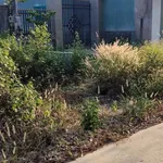 Bán đất Tân Quan Hóc Môn 100m² giá 600 triệu - Ảnh thu nhỏ 1