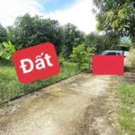 Bán lô đất Diên Khánh 70m2 chỉ 490 triệu - Ảnh thu nhỏ 3