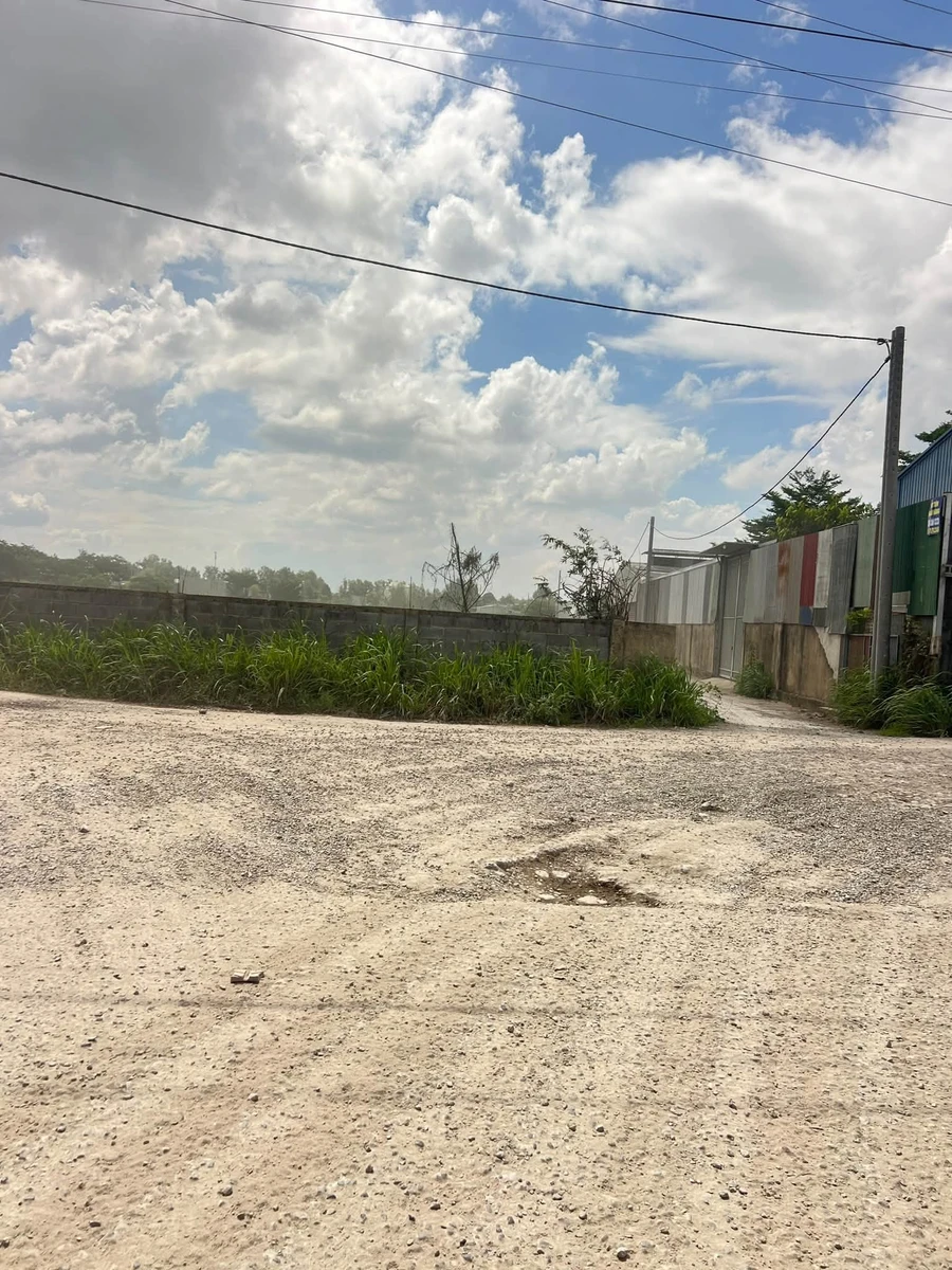 Cho thuê 6000m² đất Bình Minh, Hóc Môn - 30tr/tháng - Ảnh thu nhỏ 4