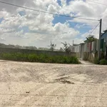 Cho thuê 6000m² đất Bình Minh, Hóc Môn - 30tr/tháng - Ảnh thu nhỏ 4