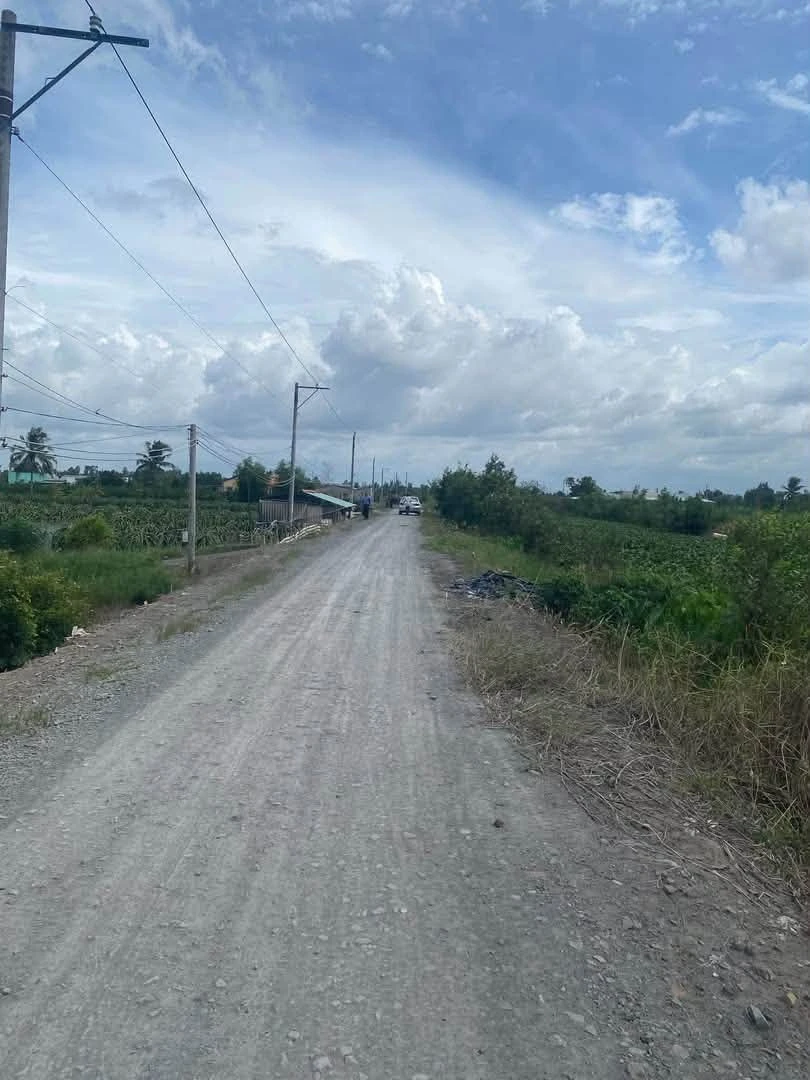 Bán đất 1.000m² view kênh tại Bình Đức, Bến Lức, Long An - Ảnh thu nhỏ 2