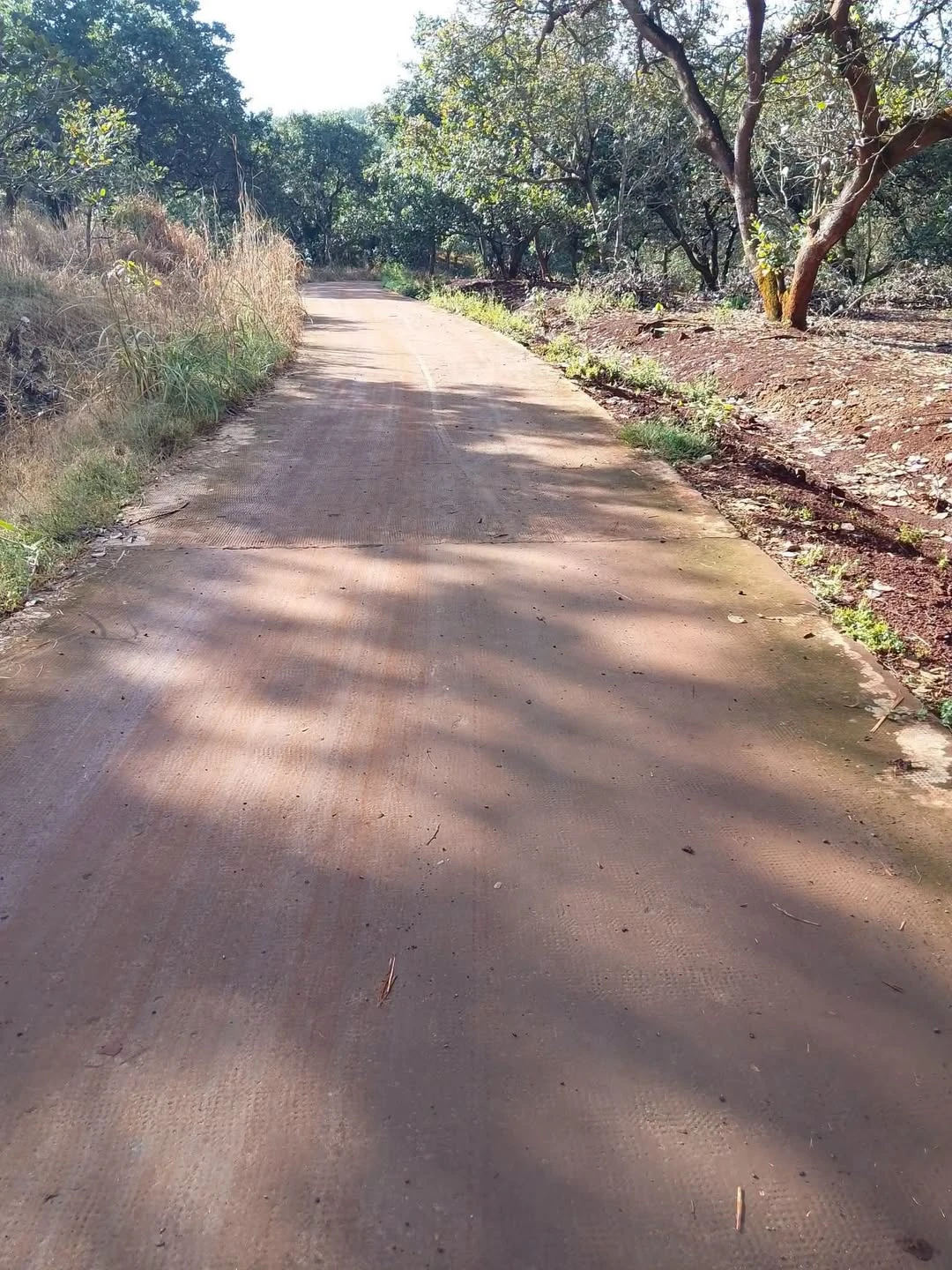 Bán đất đỏ Tân Hưng 1ha4 mặt tiền 2 tỷ 4 - Ảnh 1