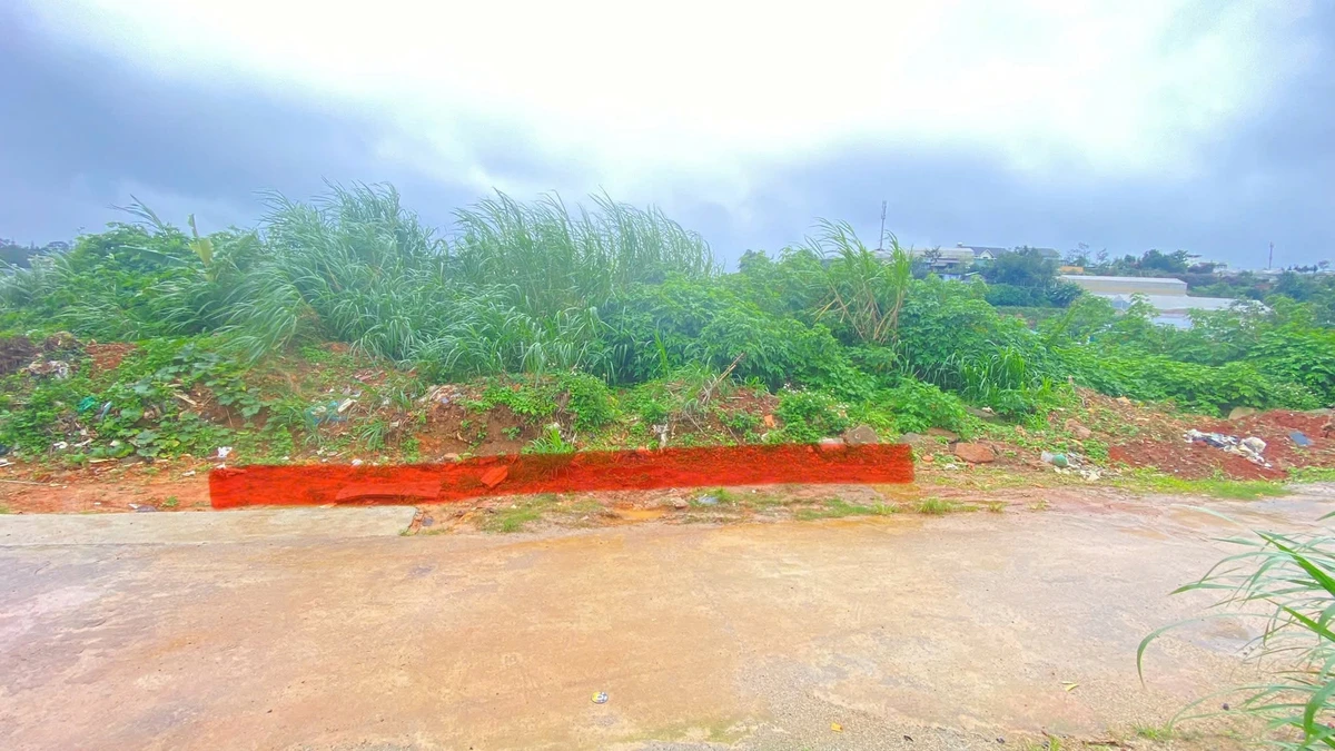 Bán đất phân quyền sổ riêng 135m² Kim Đồng, Đà Lạt - Ảnh thu nhỏ 5