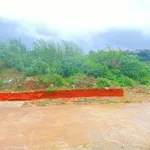 Bán đất phân quyền sổ riêng 135m² Kim Đồng, Đà Lạt - Ảnh thu nhỏ 5