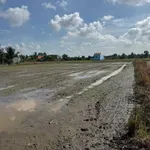 Bán 1000m² đất lúa mặt kênh Bến Lức Long An - Ảnh thu nhỏ 4