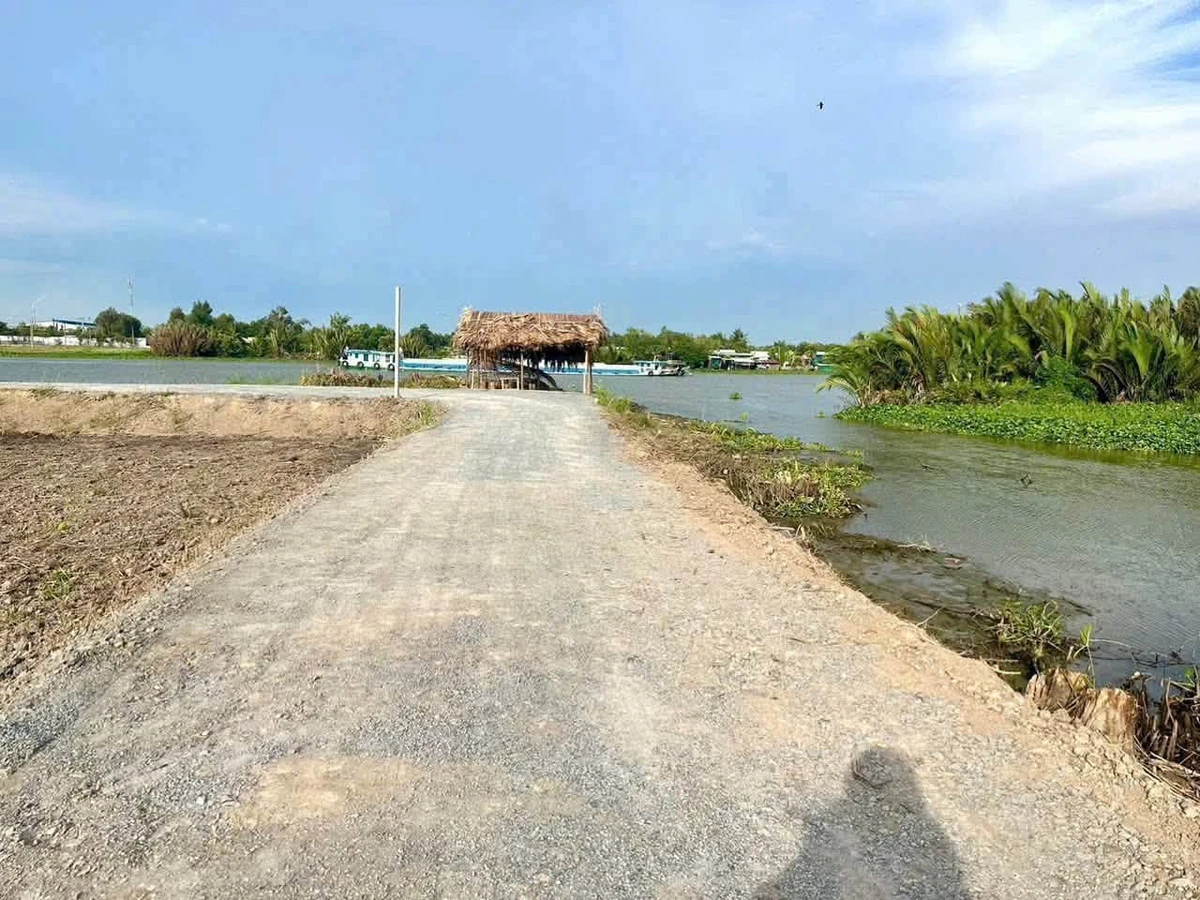 Bán đất vườn mặt tiền view sông 650m² hoặc 1300m² Thạnh Hoà - Ảnh thu nhỏ 2