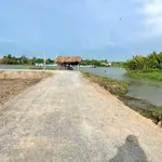 Bán đất vườn mặt tiền view sông 650m² hoặc 1300m² Thạnh Hoà - Ảnh thu nhỏ 2