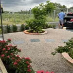 Bán nhà vườn 450m2 đất thổ cư Tây Ninh, gần chợ Tầm Vu - Ảnh thu nhỏ 3