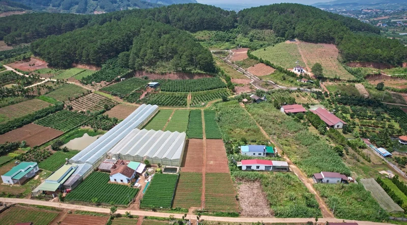 Bán đất nền nghỉ dưỡng 485 m² Nam Ban, Lâm Hà từ 975 triệu
