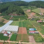 Bán đất nền nghỉ dưỡng 485 m² Nam Ban, Lâm Hà từ 975 triệu - Ảnh thu nhỏ 1