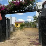 Nhà vườn siêu đẹp 392,4m2 có 180m2 thổ cư. Phù hợp xây nhà vườn nghỉ dưỡng! - Ảnh thu nhỏ 6