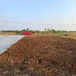Bán gấp lô đất mặt tiền 135m2 Bến Lức Long An - Ảnh thu nhỏ 2