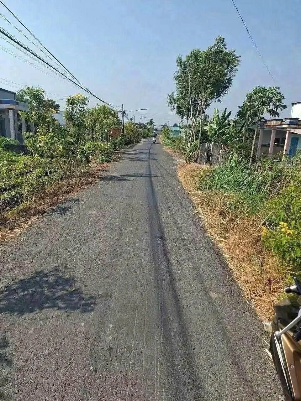 Bán đất 1000m² Tân Trung Gò Công Tiền Giang 459 triệu - Ảnh 1